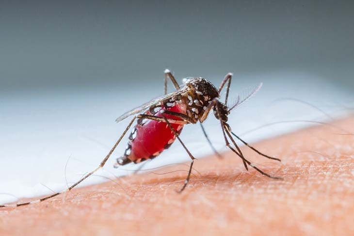 Memasuki Musim Pancaroba, Dinkes Cimahi Siasati Munculnya DBD