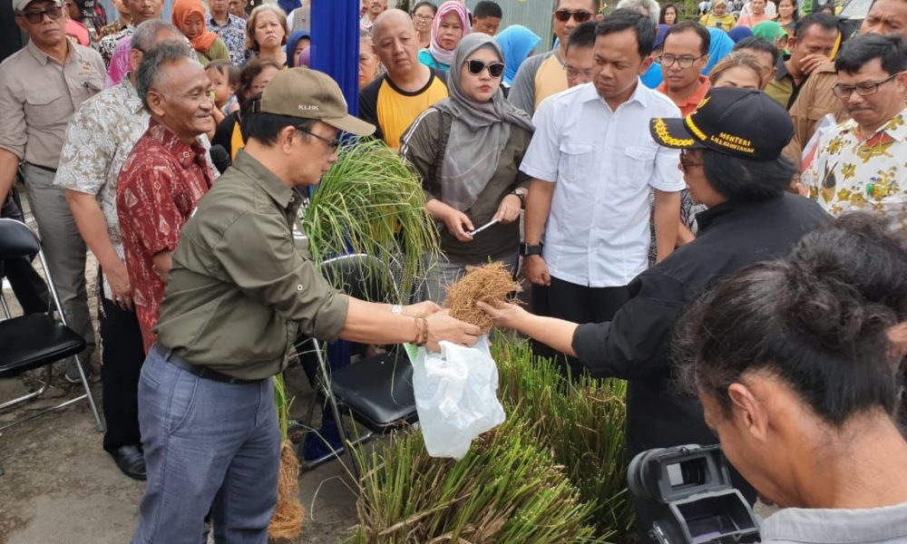 Upaya Pemberdayaan Masyarakat, BPDASHL Citarum Ciliwung bangun Kebun Bibit Desa/Kelurahan