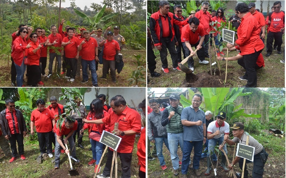 Gerakan Nasional Penanaman Pohon Dpc Pdi Perjuangan Kota Cimahi Bangun