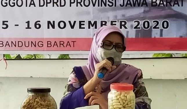 Anggota DPRD Provinsi Jawa Barat dari Fraksi PDI Perjuangan, Dapil Kab. Bandung Barat, Dra. Hj. Elin Suharliah, M.Si