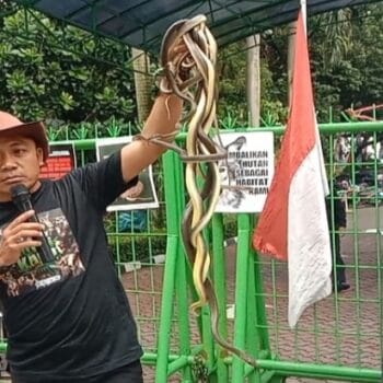 Pegiat lingkungan demo di depan kementerian LHK dan PT Semen Indonesia