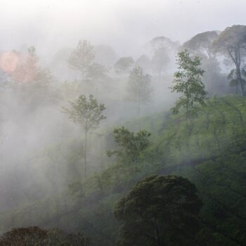 Ilustrasi Perlu Waspada, Suhu Dingin di Bandung Berlangsung Hingga Agustus