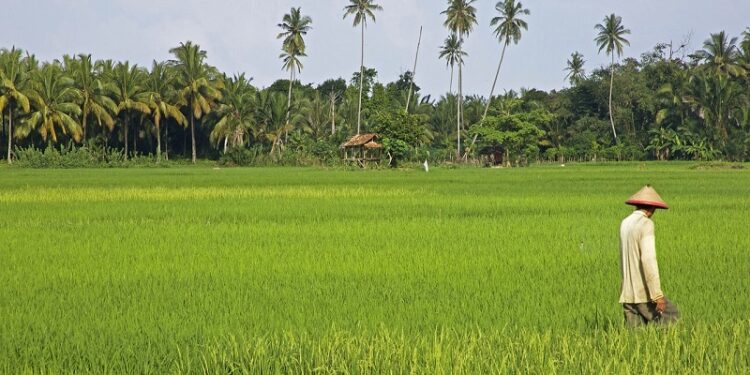 Gencarnya Pembangunan Pemukiman Ancam Lahan Pertanian di Kabupaten Bandung Barat