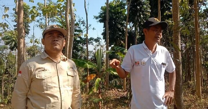 Kepala Seksi dan Staf RHL BPDAS Cimanuk Citanduy Arif Salam bersama Ketua Kelompok Tani Hutan (KTH) Mitra Sawargi, Maman