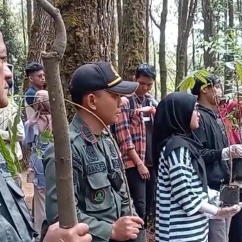 Perum Perhutani bersama Sahabat Tuli Bandung Laksanakan Tanam Pohon Pinus