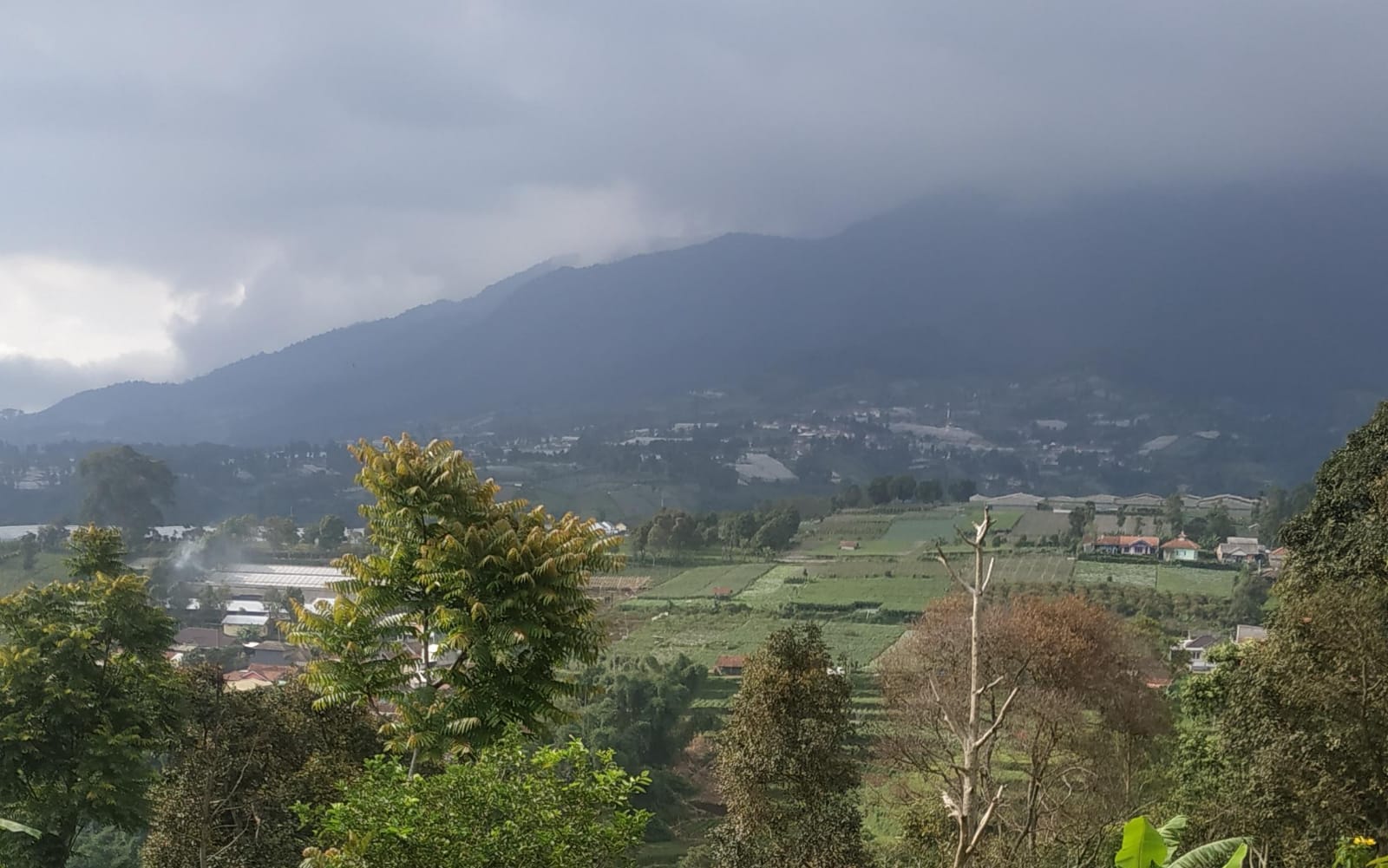 Ilustrasi desa di Jawa Barat.