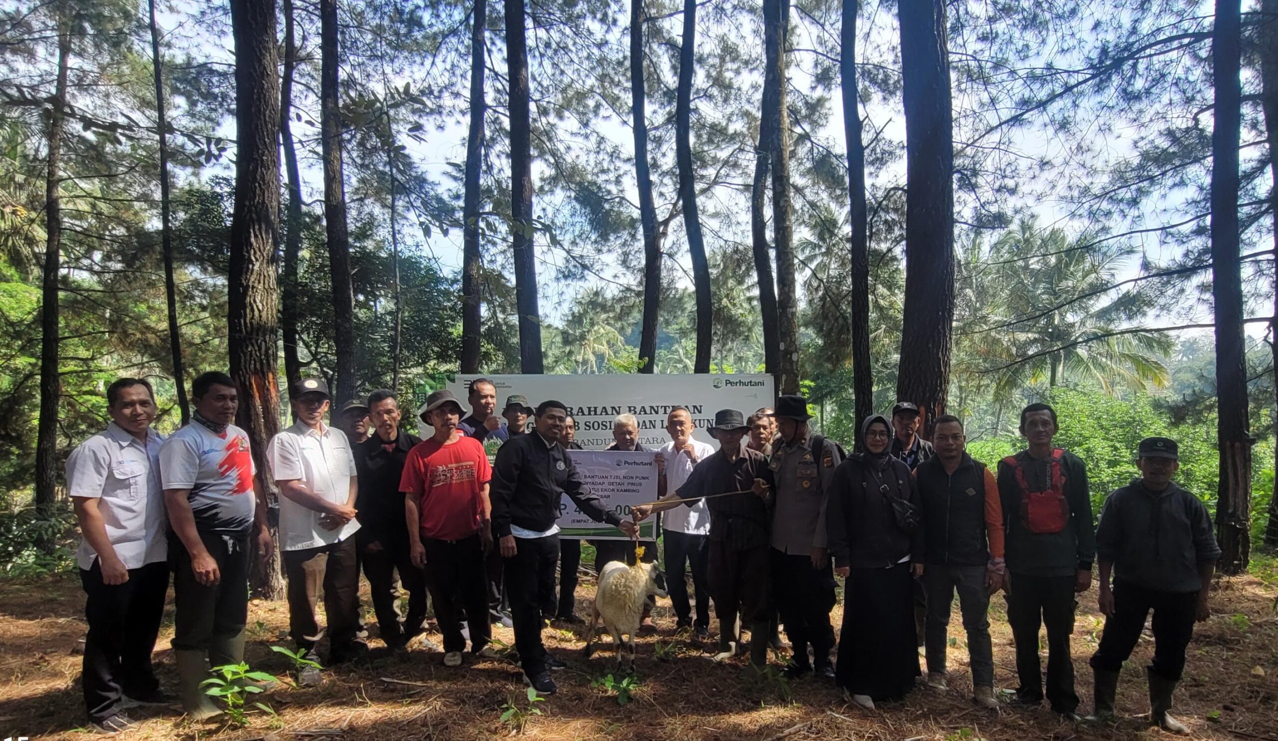 Perhutani Bandung Utara Melalui Program TJSL Salurkan Hewan Kurban Kepada Penyadap Getah Pinus Di Subang