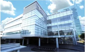 BINUS International Double Degree: How to Experience Studying Abroad in Indonesia 9