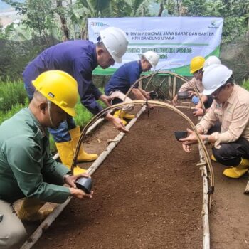 Perhutani Bandung Utara Laksanakan Tabur Benih Pinus Di Burangrang Selatan