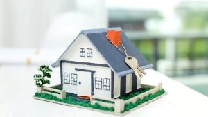 Dampak Negatif Program 3 Juta Rumah terhadap Industri Perumahan 6