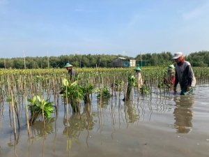 Selamatkan Pesisir Lewat Momentum Hari Menanam Pohon Nasional 3