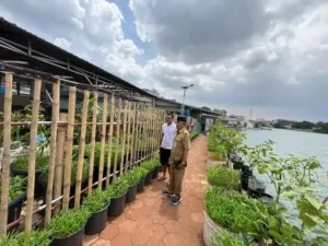 Warga Kelurahan Depok Manfaatkan Lahan Pinggir Situ Rawa Besar untuk Urban Farming/Noviana
