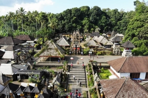 Tuti Turimayanti Kunjungi Desa Adat Penglipuran, Inspirasi untuk Pengelolaan Desa di Jawa Barat 10