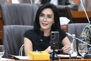 Rieke Diah Pitaloka Dilaporkan ke MKD Terkait PPN 12 Persen, Apa Penyebabnya? 7