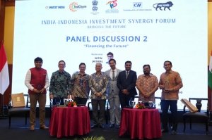 India-Indonesia Investment Synergy Forum: Financing the Future 4