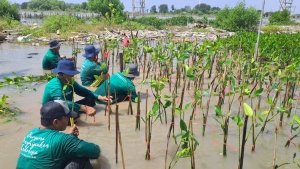 LindungiHutan: Platform Kolaborasi untuk Perusahaan Melakukan Penghijauan dan Mitigasi Perubahan Iklim 4