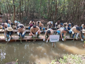 LindungiHutan Terlibat dalam Program CSR PT Panin Asset Management Tanam Mangrove di PIK 6