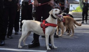 Tangkapan foto Unit K-9 Polda Jabar