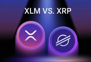XRP vs XLM: Mana yang Lebih Unggul? Ini Analisis Lengkapnya 6