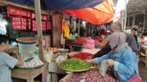 Harga Cabai di Pandeglang Melambung Tinggi, Sentuh Rp 120.000 per Kilogram 3