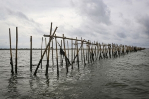 Misteri Pagar Laut di Tangerang: Warga Dibayar Rp 100.000, Pemilik Mulai Terungkap 1