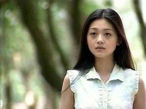 Pemeran Shancai dalam Meteor Garden, Barbie Hsu, Meninggal Dunia 8