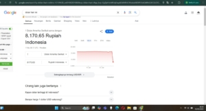 Rupiah Menguat di Angka Rp 8.000 terhadap Dollar, Nyata atau Kesalahan Sistem? 8