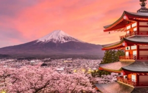 Kades Sukamulya Mengundurkan Diri untuk Bekerja di Jepang 5