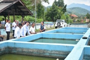 Wabup Hadir di Dinas Peternakan dan Perikanan Sumedang. Ada Apa? 1