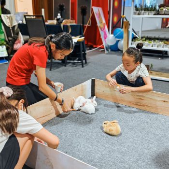 Sejumlah pengunjung Big Farmer asik bermain.