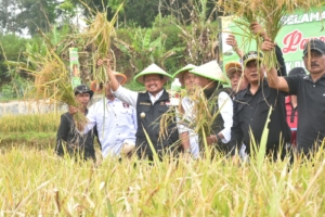 Bupati Dony: Pentahelix Bidang Pertanian Wujudkan Ketahanan Pangan Daerah