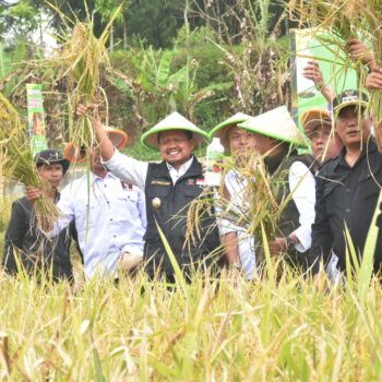 Bupati Dony: Pentahelix Bidang Pertanian Wujudkan Ketahanan Pangan Daerah