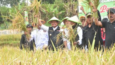 Bupati Dony: Pentahelix Bidang Pertanian Wujudkan Ketahanan Pangan Daerah