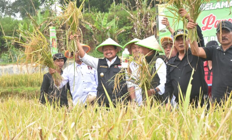 Bupati Dony: Pentahelix Bidang Pertanian Wujudkan Ketahanan Pangan Daerah