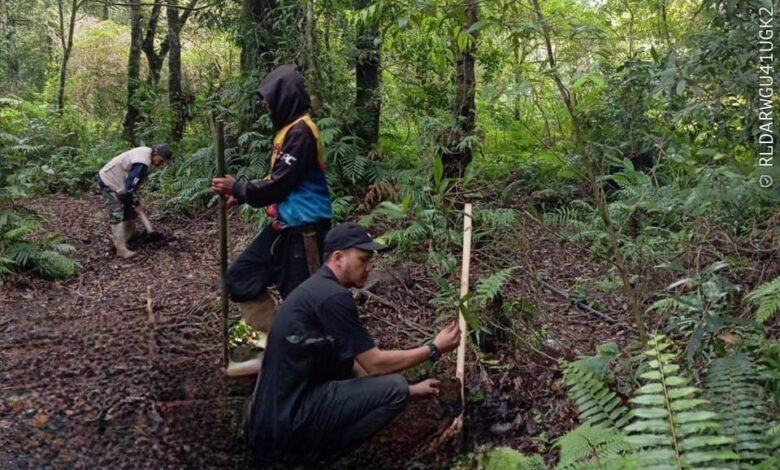 Perhutani dan LMDH Gelar Penanaman Pohon di Wisata Jayagiri