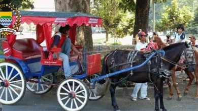 Tangkapan foto Delman. (Sumber: Dok. DPRD Jabar)