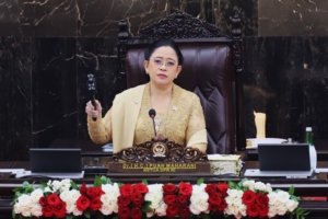 Tangkapan foto Puan Maharani. (Sumber: Emedia DPR RI)