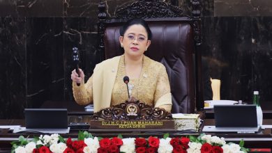 Tangkapan foto Puan Maharani. (Sumber: Emedia DPR RI)