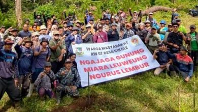 Perhutani Bersama Masyarakat Lakukan Penanaman Pohon untuk Lestarikan Hutan di Cikole