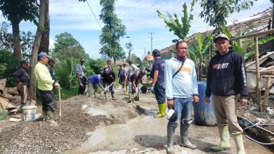 Warga Kampung Cibolang gotong royong perbaiki jalan longsor.