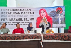 DPRD Jabar Diah Fitri Sebut Pentingnya Pelayanan Kesehatan Secara Terintegrasi, Komprehensif, dan Berkesinambungan untuk Seluruh Masyarakat 10