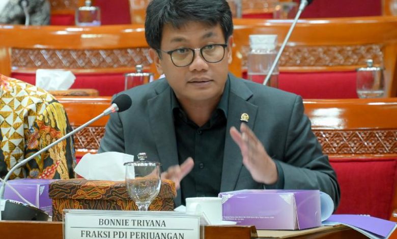Tangkapan foto Anggota Komisi X DPR RI, Bonnie Triyana. (Sumber: Istimewa)