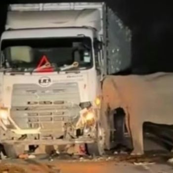 Tangkapan foto truk yang menabrak anak gajah di Malaysia. (Sumber: Istimewa)