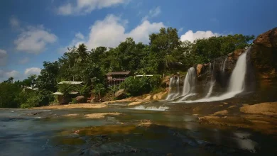 Tangkapan foto Wahana Alam Parung. (Sumber: Traveloka)