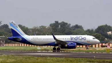 Tangkapan foto pesawat IndiGO 6764. (Sumber: Zee News)