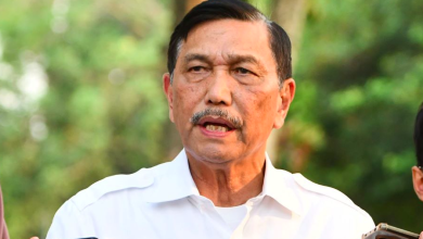 Tangkapan foto Ketua Dewan Ekonomi Nasional (DEN), Luhut Binsar Pandjaitan. (Sumber: Dok. Kementerian Pendayagunaan Aparatur Negara dan Reformasi Birokrasi)