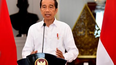 Tangkapan foto Jokowi. (Sumber: Dok. Setneg)