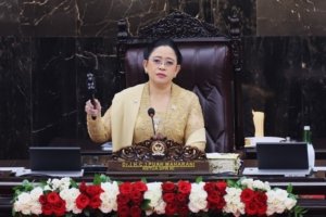Tangkapan foto Puan Maharani. (Sumber: Emedia DPR RI)