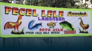 Ahli Hukum: Pasal Karet UU Tipikor Bisa Jerat Penjual Pecel Lele 1