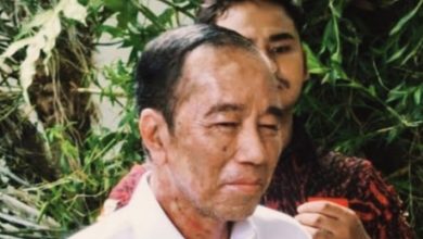 Tangkapan foto Jokowi. (Sumber: Istimewa)